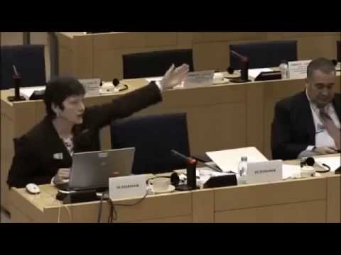 Sabine McNeill EU committee