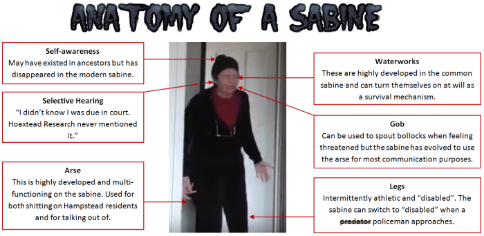 Sabine-anatomy