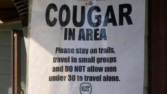 beware-of-cougar